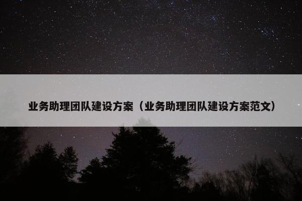 业务助理团队建设方案（业务助理团队建设方案范文）