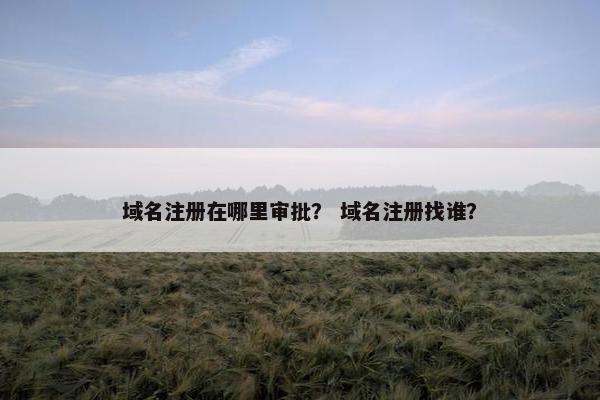 域名注册在哪里审批？ 域名注册找谁？
