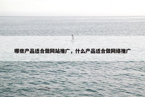 哪些产品适合做网站推广，什么产品适合做网络推广