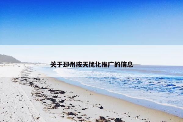 关于邳州按天优化推广的信息