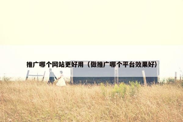 推广哪个网站更好用（做推广哪个平台效果好）