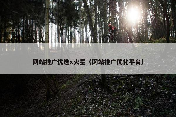 网站推广优选x火星（网站推广优化平台）