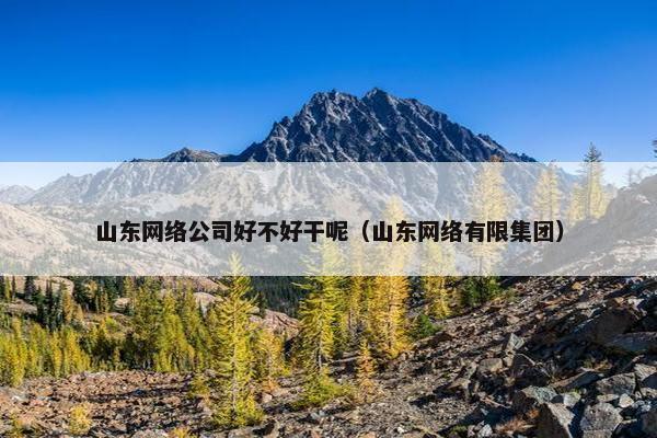 山东网络公司好不好干呢（山东网络有限集团）