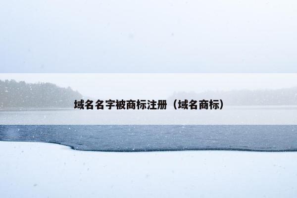 域名名字被商标注册（域名商标）