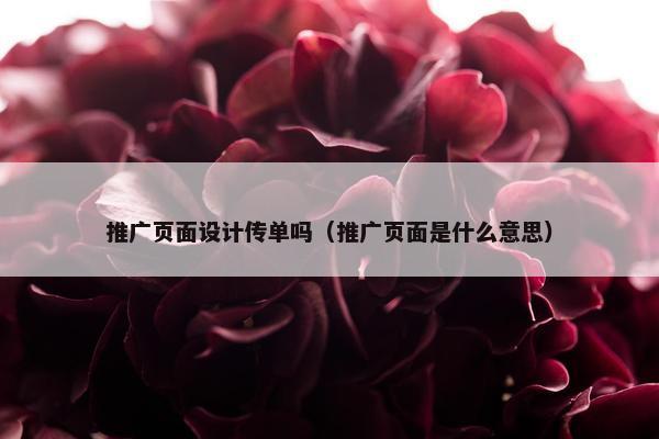 推广页面设计传单吗（推广页面是什么意思）