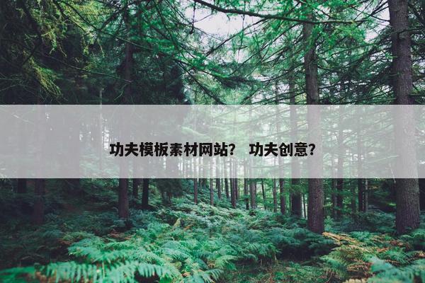 功夫模板素材网站？ 功夫创意？
