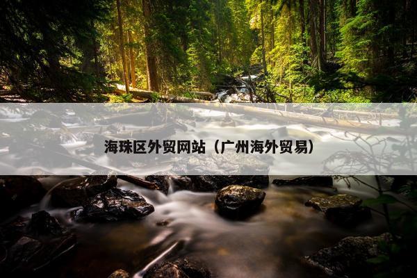 海珠区外贸网站（广州海外贸易）
