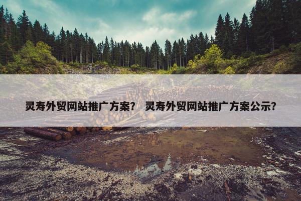 灵寿外贸网站推广方案？ 灵寿外贸网站推广方案公示？