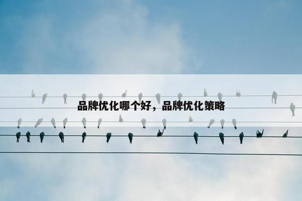 品牌优化哪个好，品牌优化策略