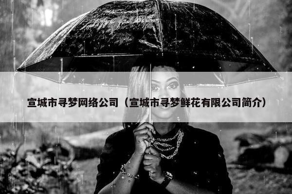 宣城市寻梦网络公司（宣城市寻梦鲜花有限公司简介）