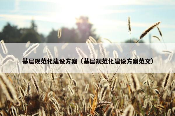 基层规范化建设方案（基层规范化建设方案范文）