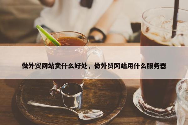 做外贸网站卖什么好处，做外贸网站用什么服务器