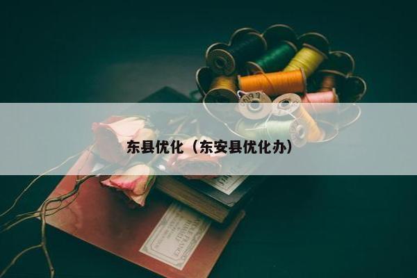 东县优化（东安县优化办）