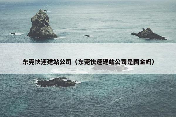 东莞快速建站公司（东莞快速建站公司是国企吗）
