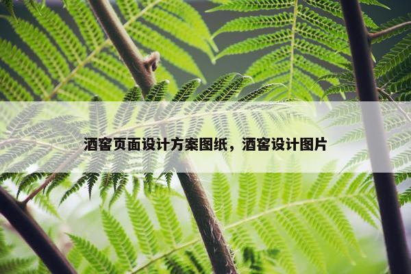 酒窖页面设计方案图纸，酒窖设计图片