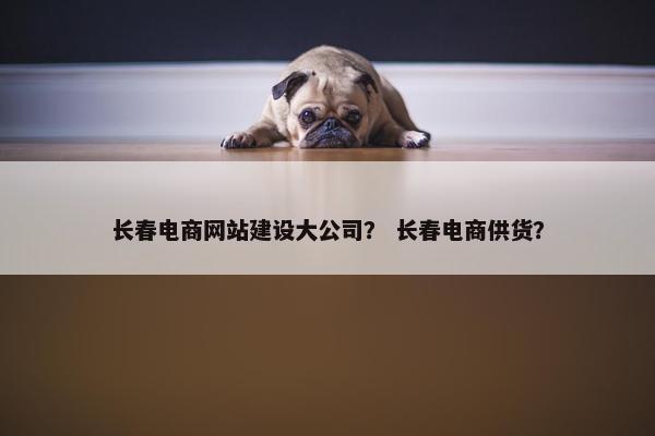 长春电商网站建设大公司？ 长春电商供货？
