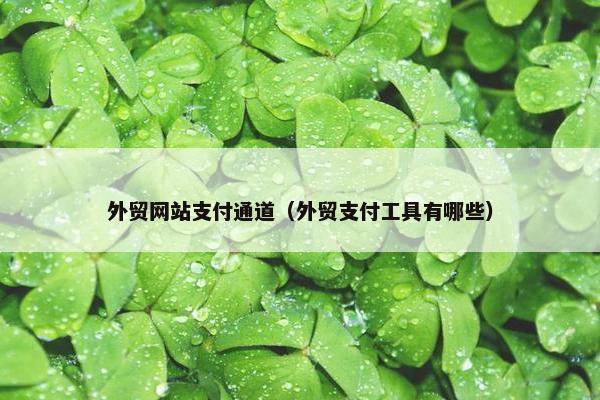 外贸网站支付通道（外贸支付工具有哪些）