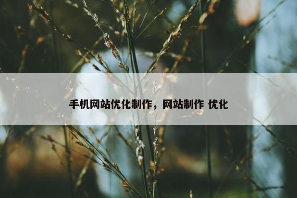 手机网站优化制作，网站制作 优化