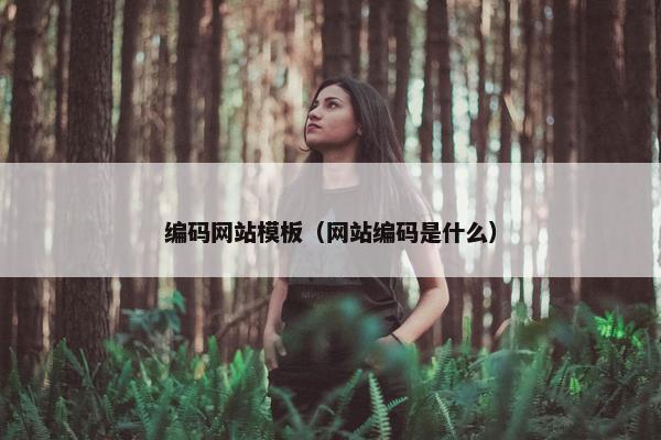 编码网站模板（网站编码是什么）