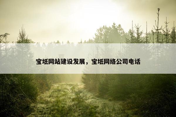 宝坻网站建设发展，宝坻网络公司电话