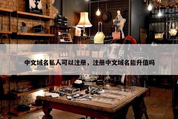 中文域名私人可以注册，注册中文域名能升值吗