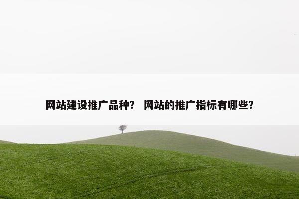 网站建设推广品种？ 网站的推广指标有哪些？