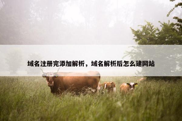 域名注册完添加解析，域名解析后怎么建网站