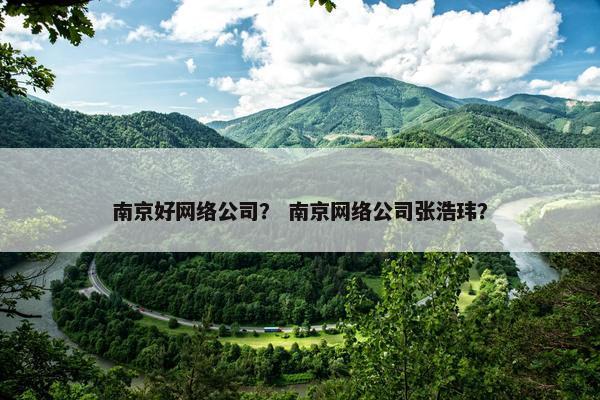南京好网络公司？ 南京网络公司张浩玮？