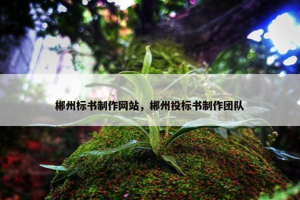 郴州标书制作网站，郴州投标书制作团队