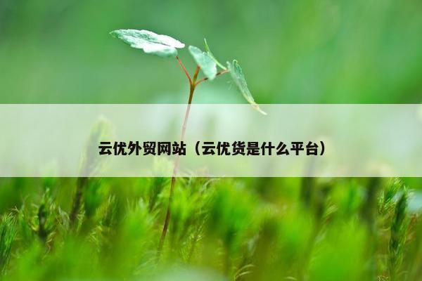 云优外贸网站（云优货是什么平台）