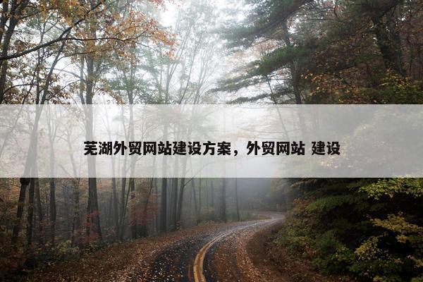 芜湖外贸网站建设方案，外贸网站 建设