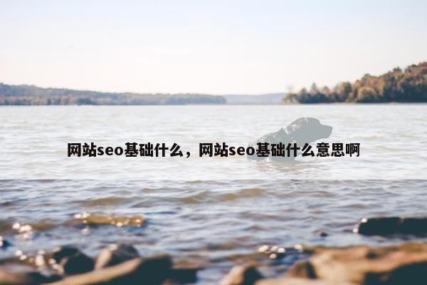 网站seo基础什么，网站seo基础什么意思啊