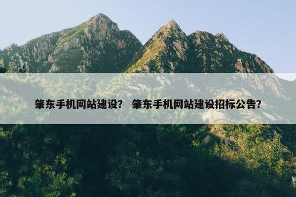 肇东手机网站建设？ 肇东手机网站建设招标公告？
