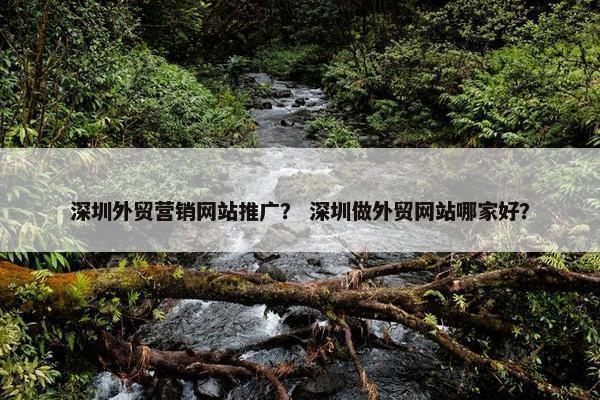 深圳外贸营销网站推广？ 深圳做外贸网站哪家好？