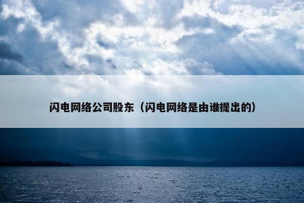 闪电网络公司股东（闪电网络是由谁提出的）