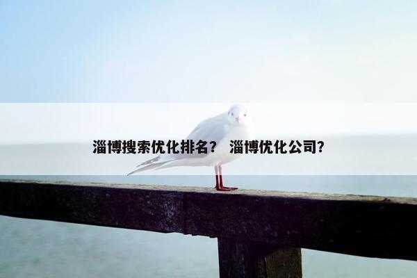 淄博搜索优化排名？ 淄博优化公司？