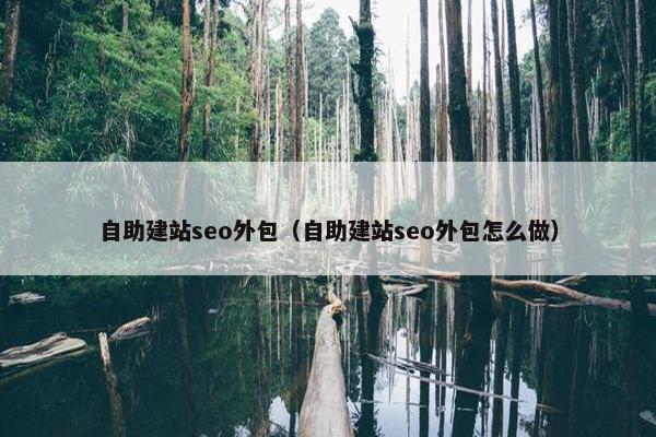 自助建站seo外包（自助建站seo外包怎么做）