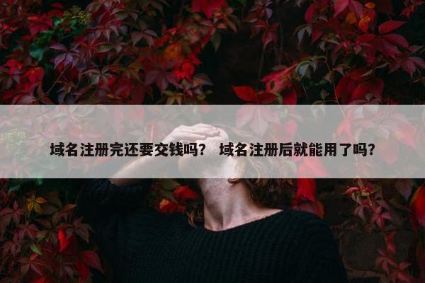 域名注册完还要交钱吗？ 域名注册后就能用了吗？