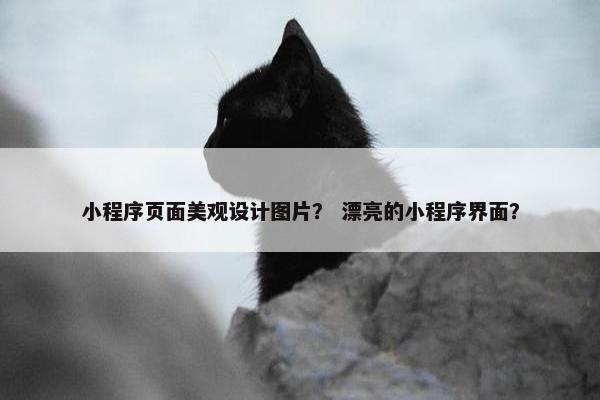 小程序页面美观设计图片？ 漂亮的小程序界面？