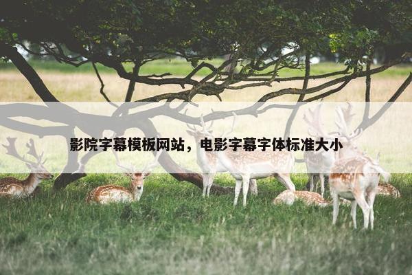 影院字幕模板网站，电影字幕字体标准大小