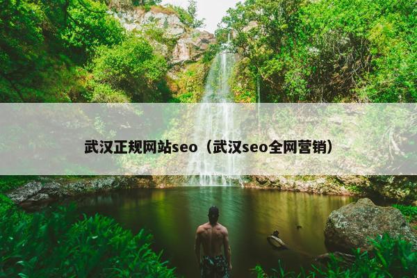 武汉正规网站seo（武汉seo全网营销）