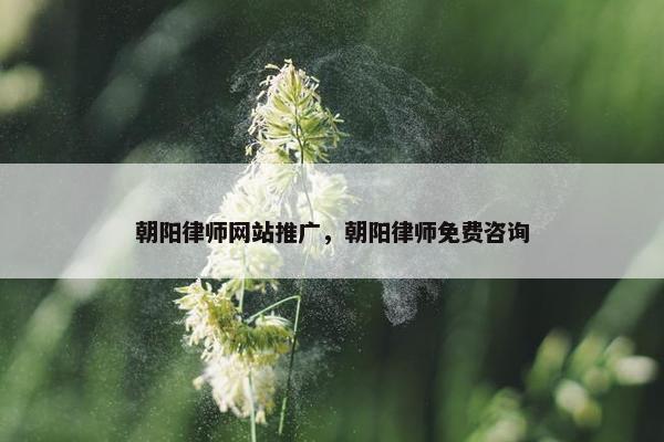 朝阳律师网站推广，朝阳律师免费咨询