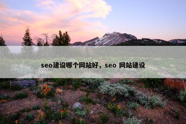 seo建设哪个网站好，seo 网站建设