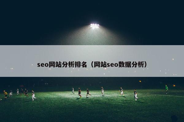 seo网站分析排名（网站seo数据分析）