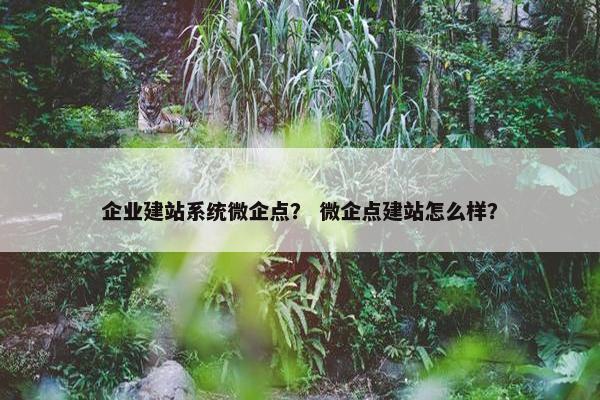 企业建站系统微企点？ 微企点建站怎么样？