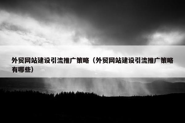外贸网站建设引流推广策略（外贸网站建设引流推广策略有哪些）