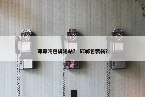 邯郸吨包袋建站？ 邯郸包装袋？