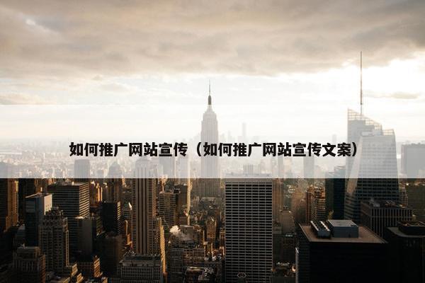 如何推广网站宣传（如何推广网站宣传文案）