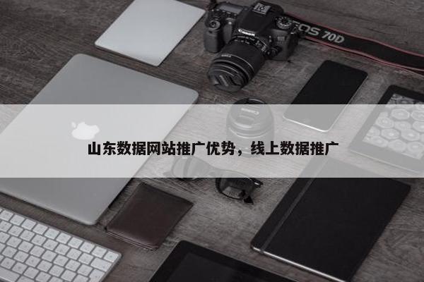 山东数据网站推广优势，线上数据推广