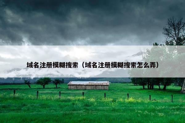 域名注册模糊搜索（域名注册模糊搜索怎么弄）